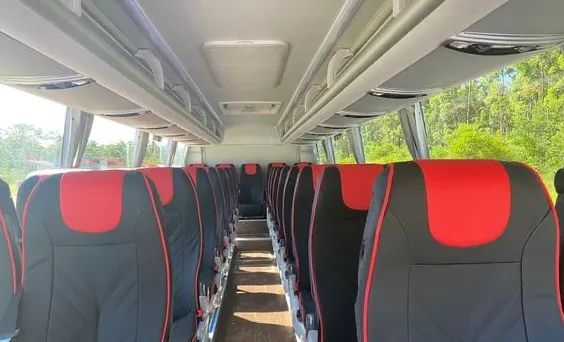 Elite Coach Day Trips